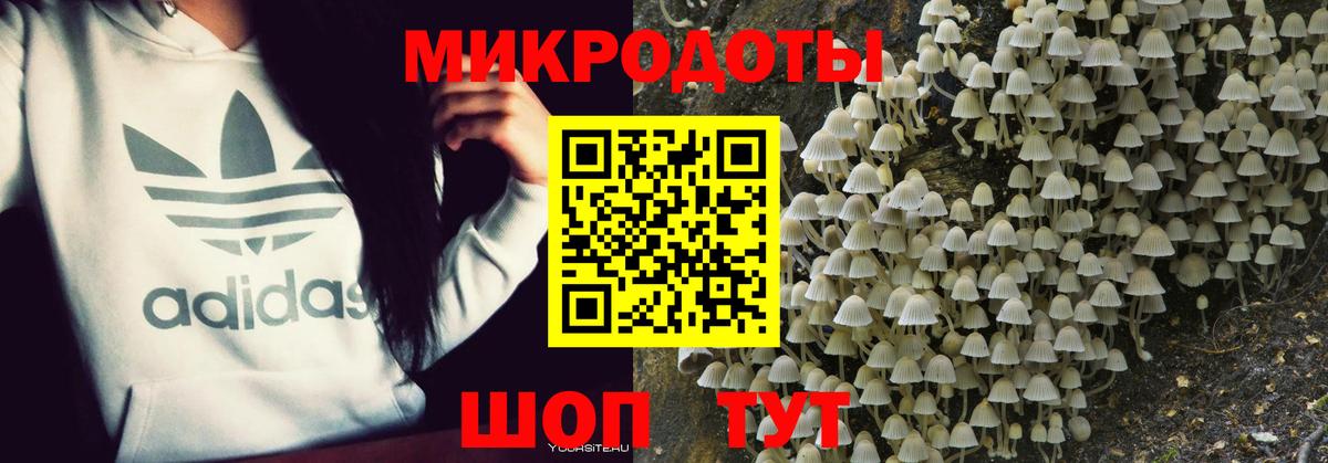 Галлюциногенные грибы Cubensis Елец