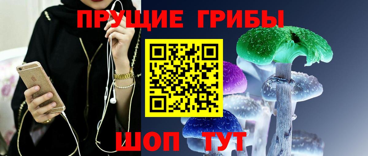 Елец  Псилоцибиновые грибы Cubensis  Псилоцибиновые грибы Psilocybine cubensis  Вход с VPN 
